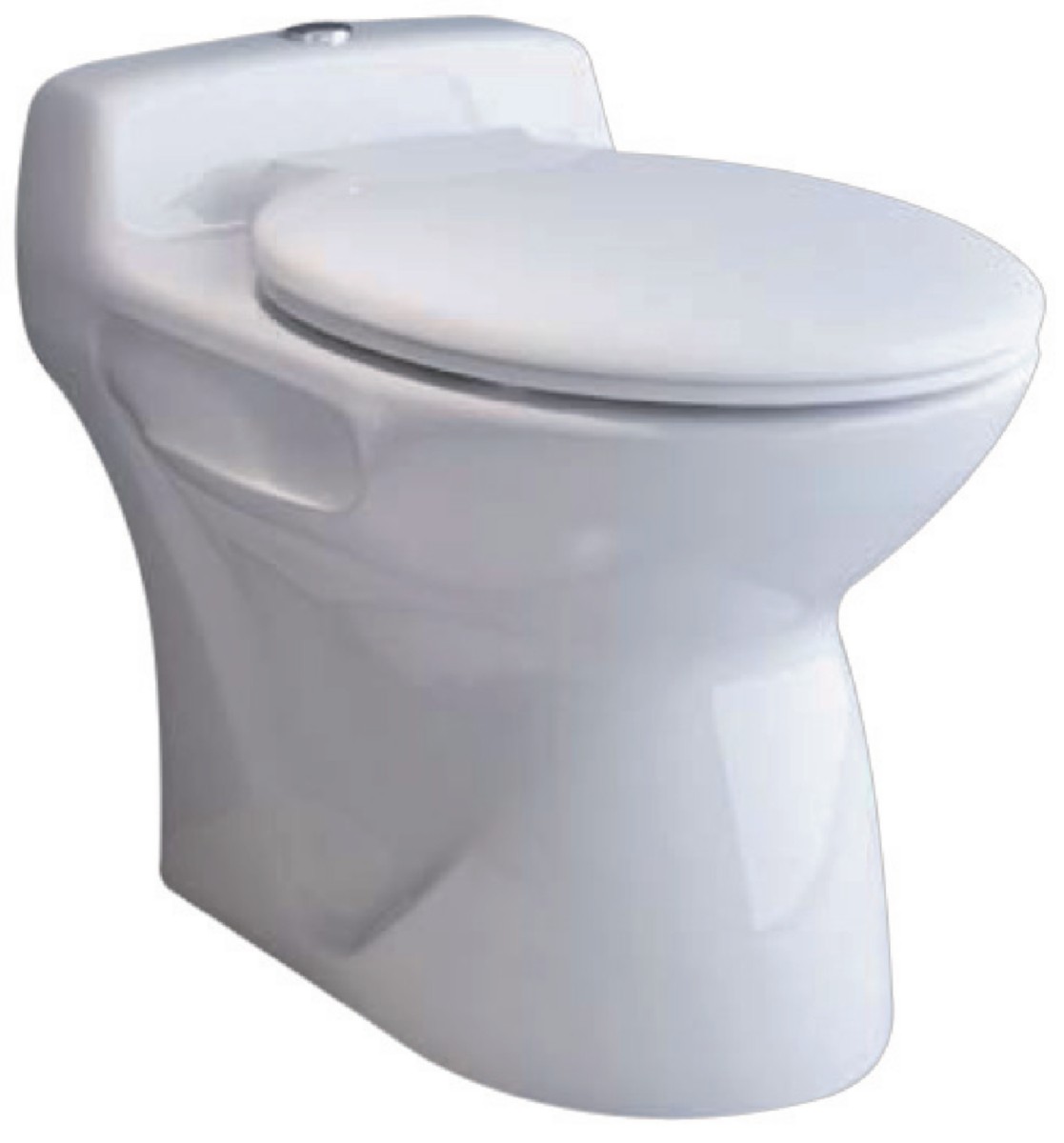 Broyeur WC compact Watermatic W30S , tout inclus : livraison et pose
