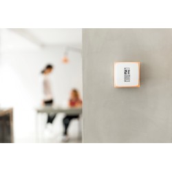 Thermostat d'ambiance Netatmo pour smartphone