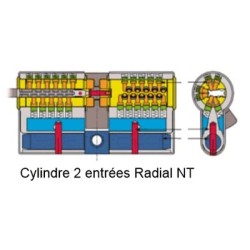 Cylindre de serrure double entrée Vachette Radial NT+ - Profil Européen 32x32mm